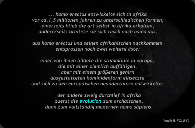 Text zum Wortbild Evolution