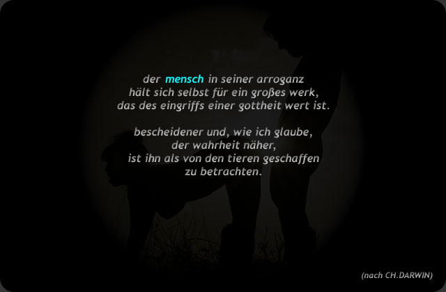 Text zum Wortbild Mensch